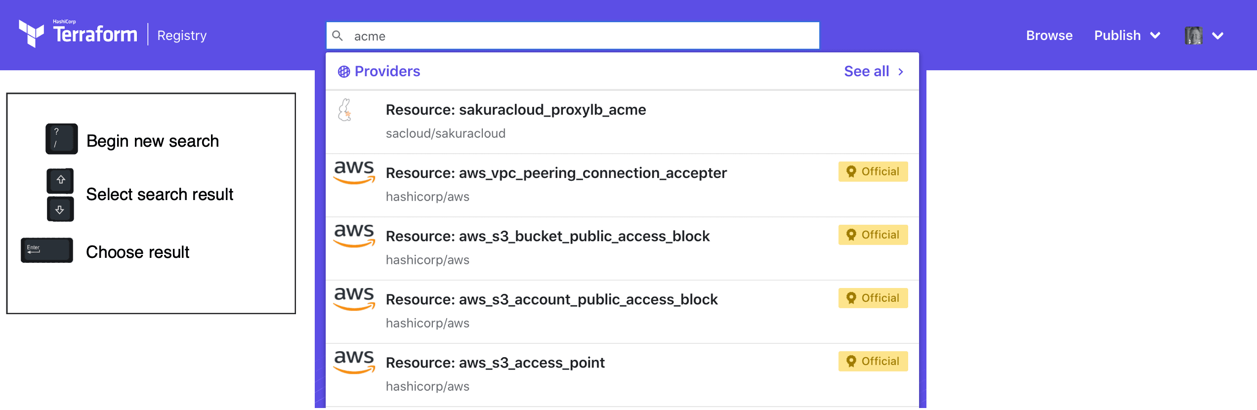 screenshot: terraform registry browse
